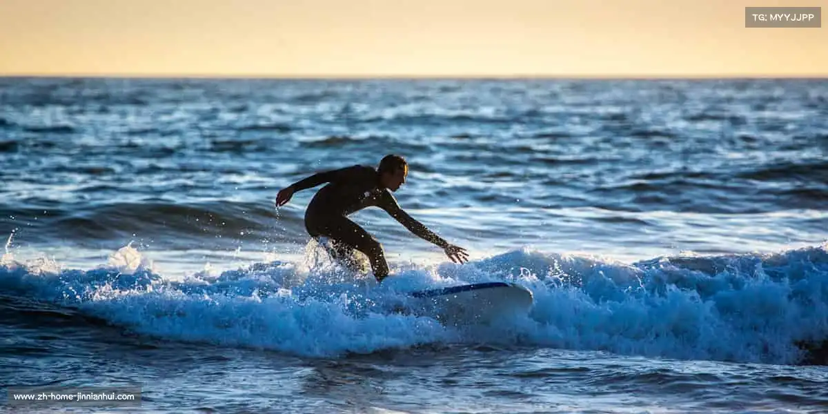 金年会官网——🏄冲浪踏浪，驭海而行！